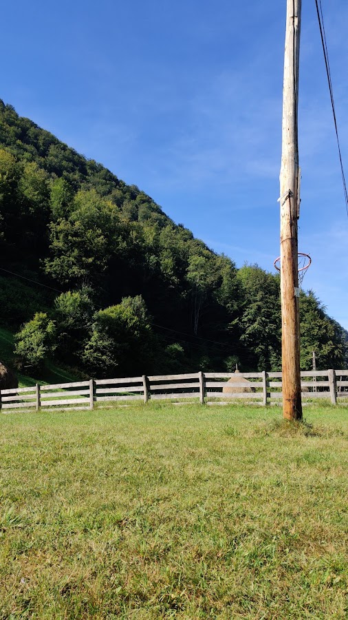 Photo de Cabana Valea Iadului