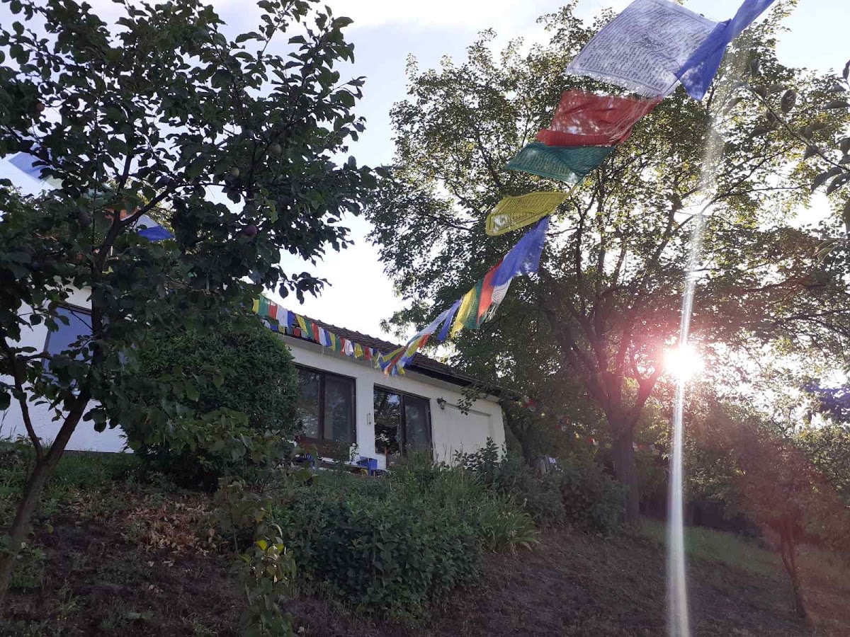 Photo de Diamond Way Buddhist Center