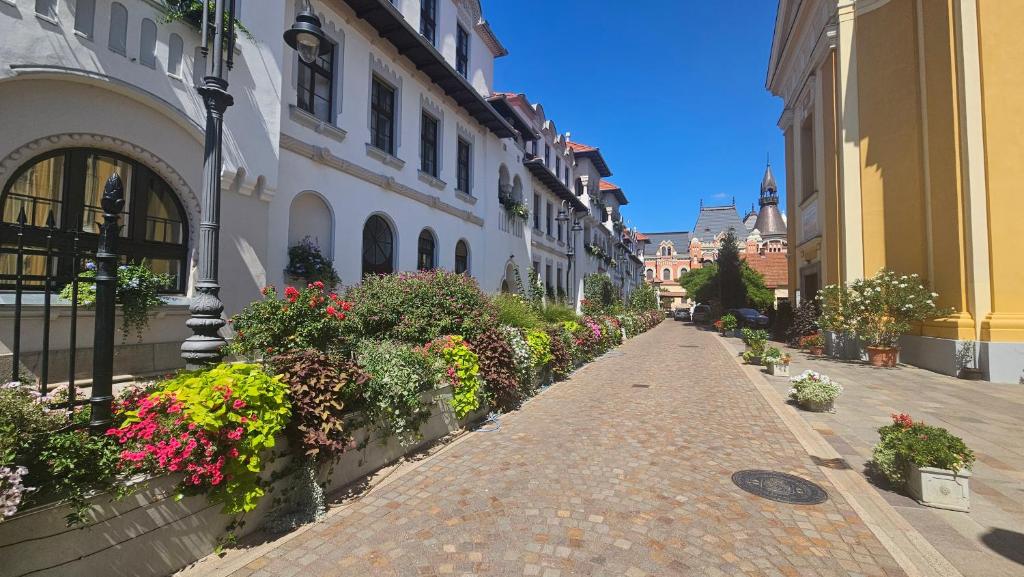 Photo of Ultra-Central Retreat Oradea