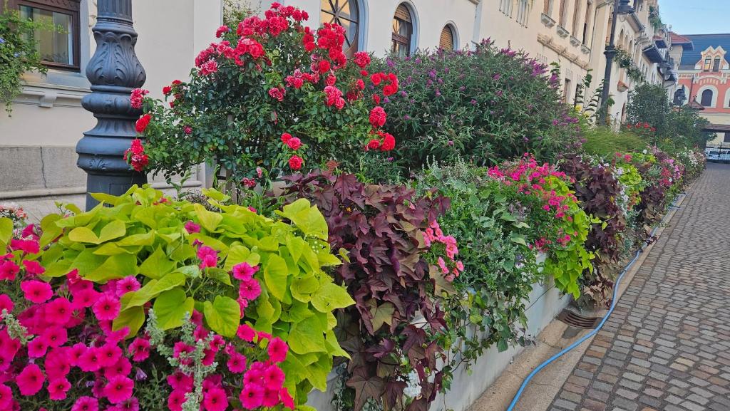 Fotografie de Ultra-Central Retreat Oradea