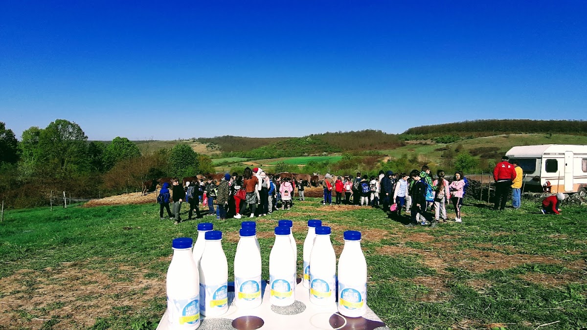 Photo de Ferma Măgărițelor