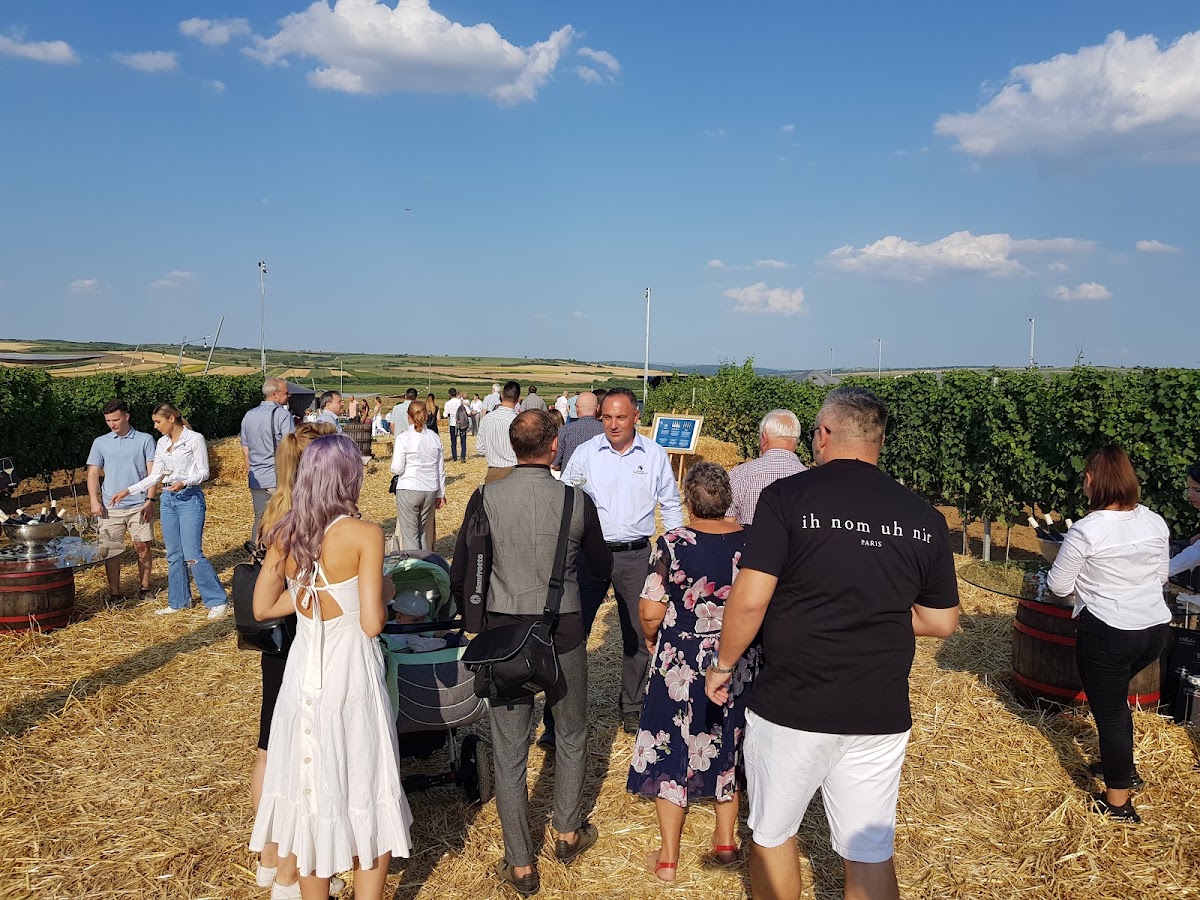 Foto di Familia Darabont