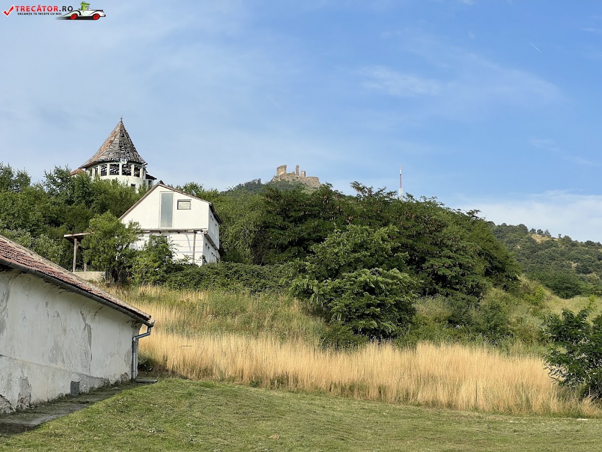 Photo of Cramele Miniș