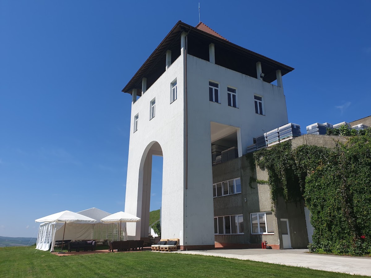Photo of Villa Vinea