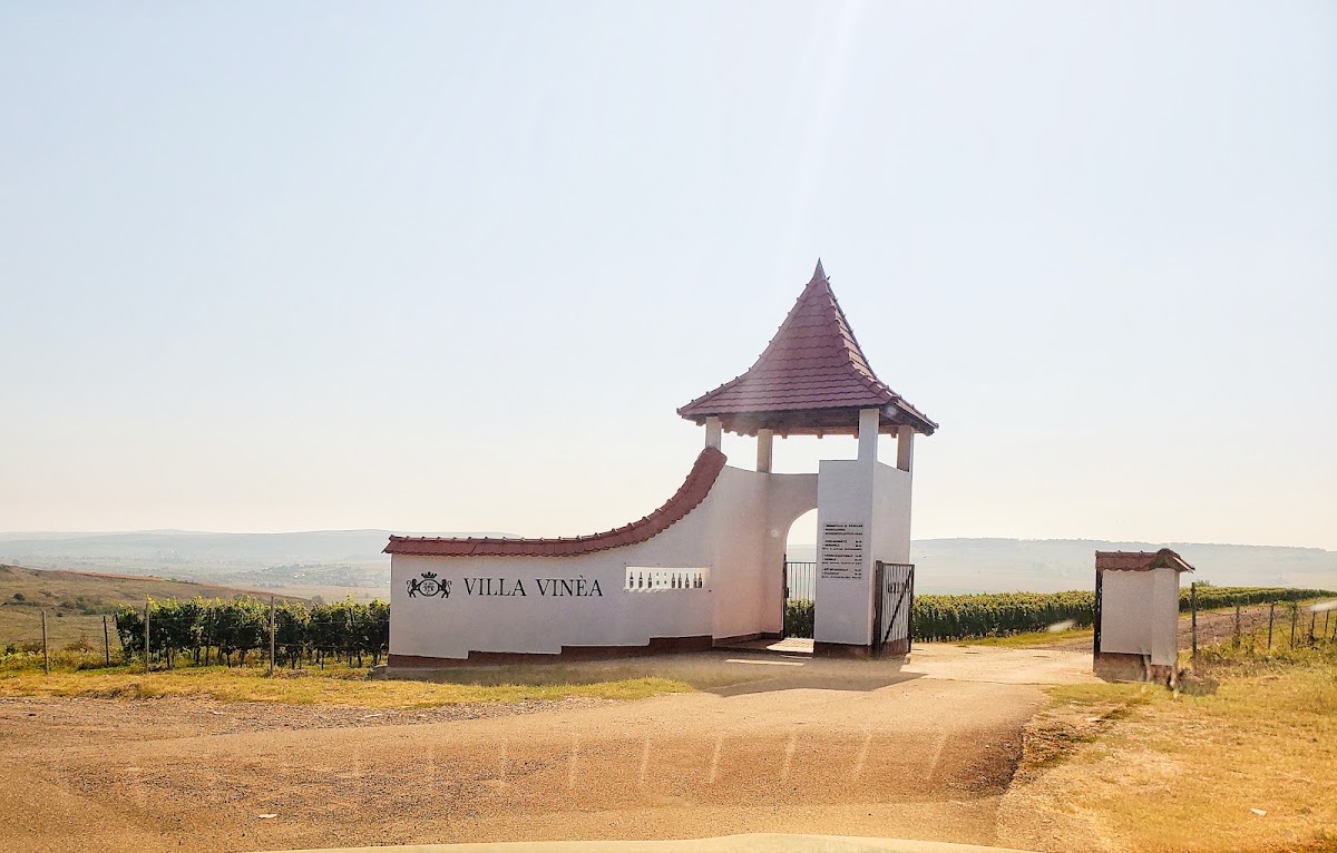 Photo of Villa Vinea