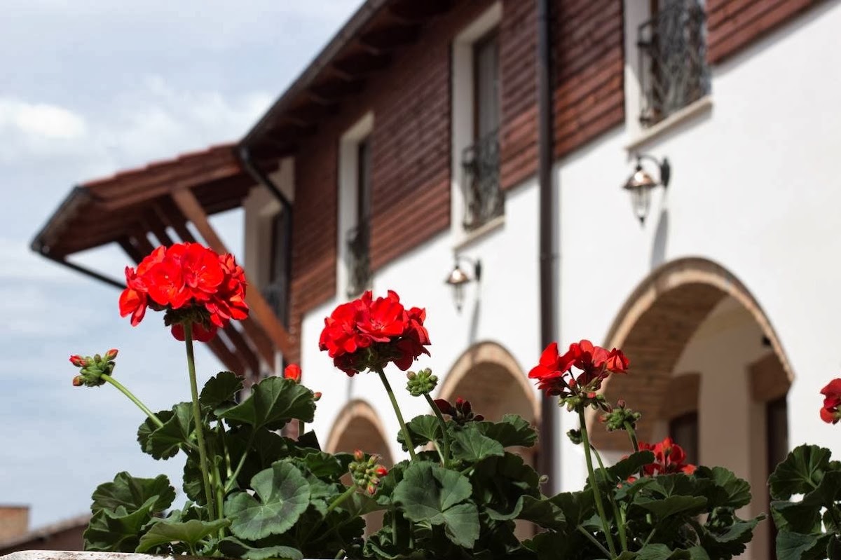 Photo de La Maison de Caroline