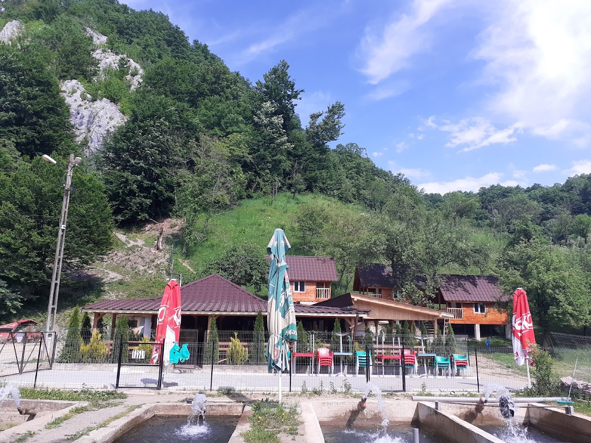Photo of Pastravaria Lazuri