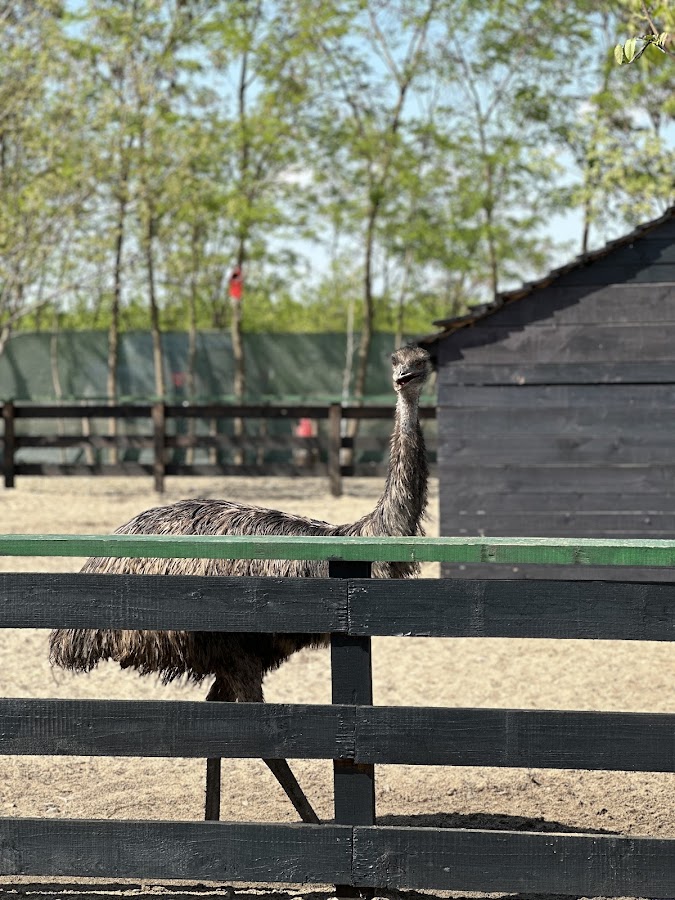 Foto von Blaga's Farm