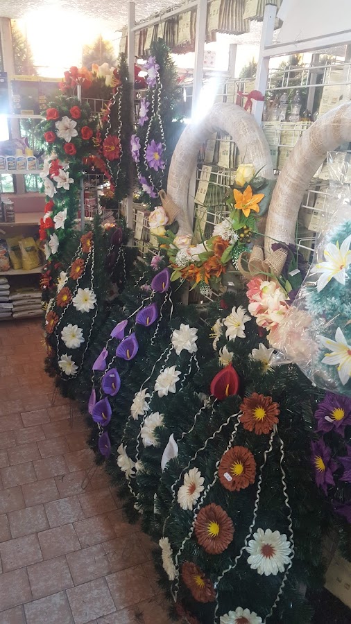 Photo of IVAFLORA Oșorhei - Pentru casa și grădina ta