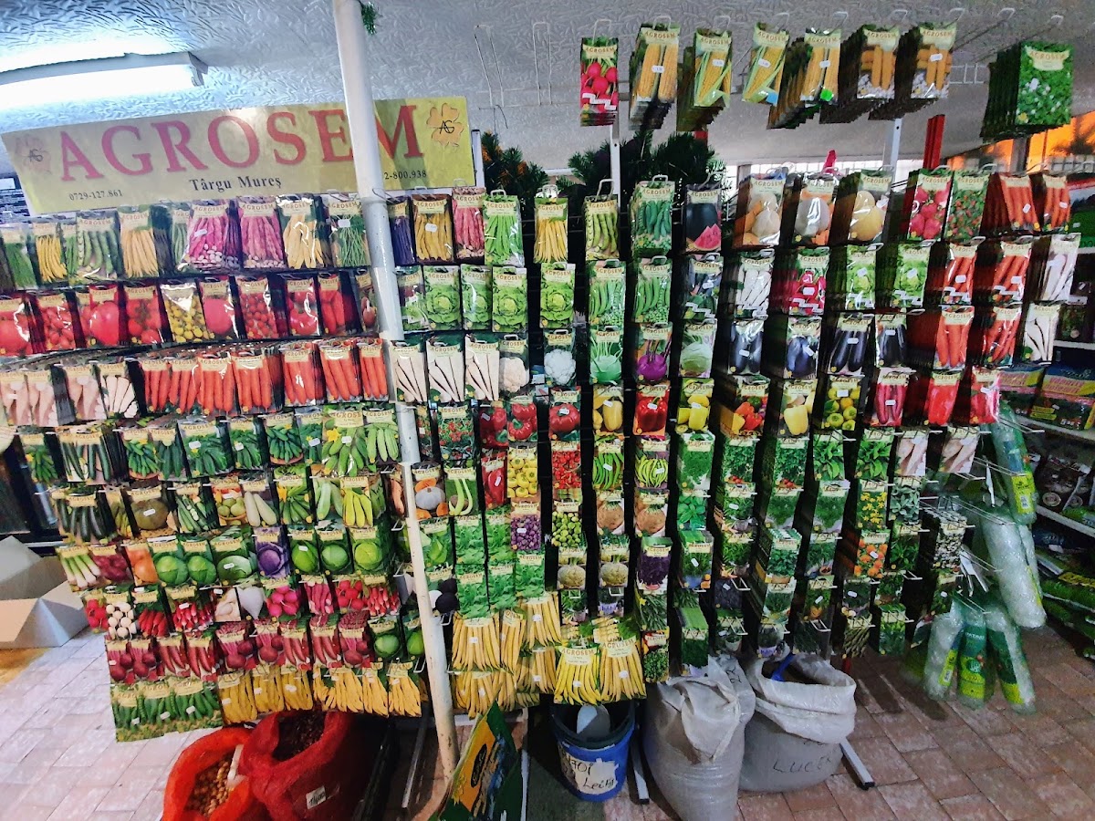 Photo of IVAFLORA Oșorhei - Pentru casa și grădina ta