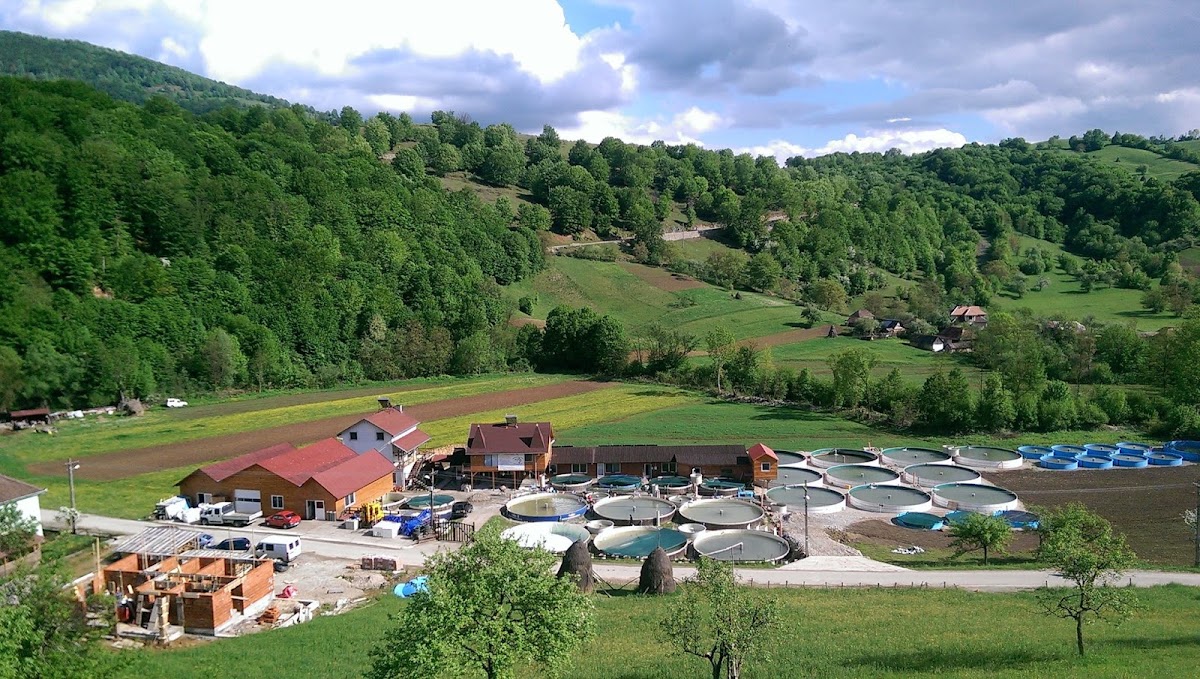 Photo of Novarainvest - Păstrăvăria Roșia-Bihor