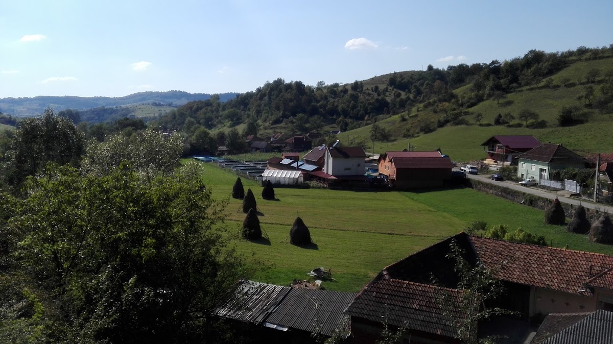 Photo of Novarainvest - Păstrăvăria Roșia-Bihor