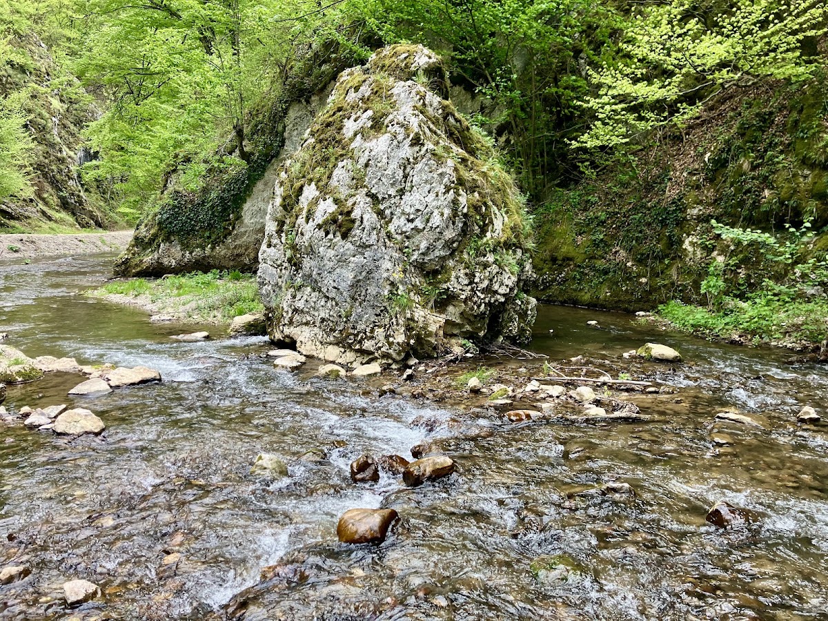 Foto von Cheile Lazuri