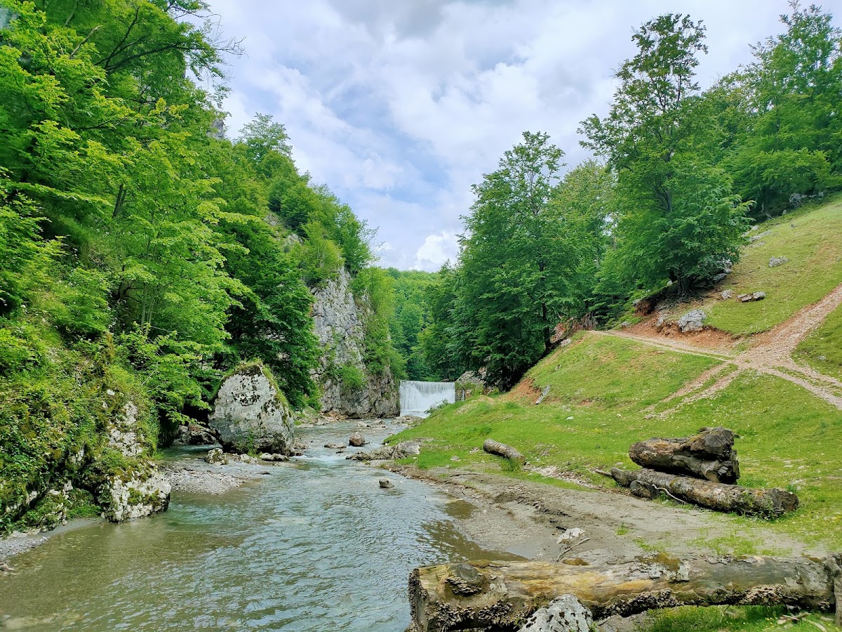 Foto von Cheile Lazuri