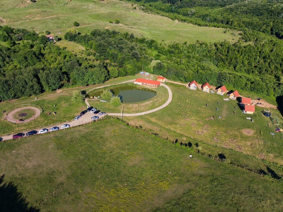 Photo of Caii din Vale