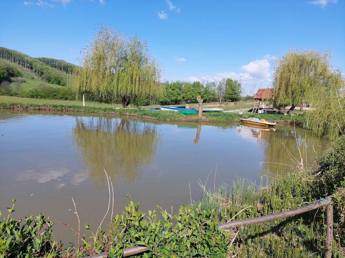 Fotografie de Caii din Vale