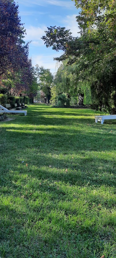 Photo of Gradina Termala