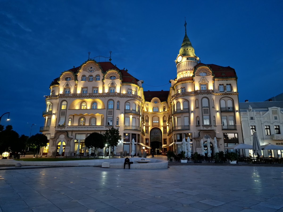 Photo of Palatul "Vulturul Negru"