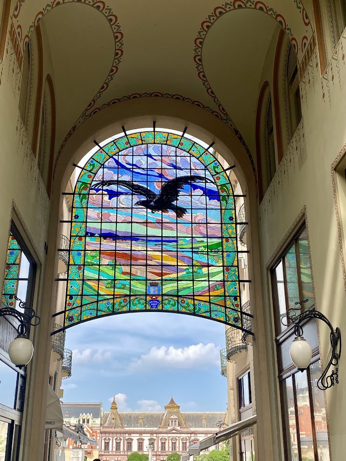 Foto von Palatul "Vulturul Negru"