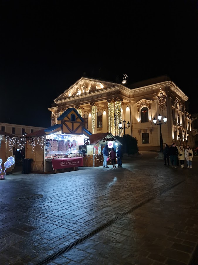 Foto von Teatrul Szigligeti