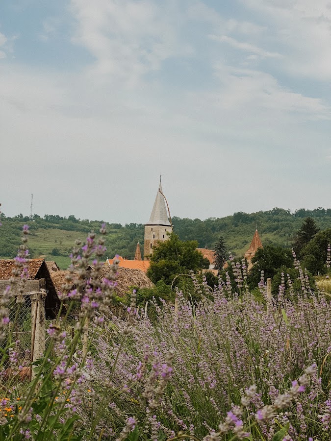 Photo of Bio-Moșna