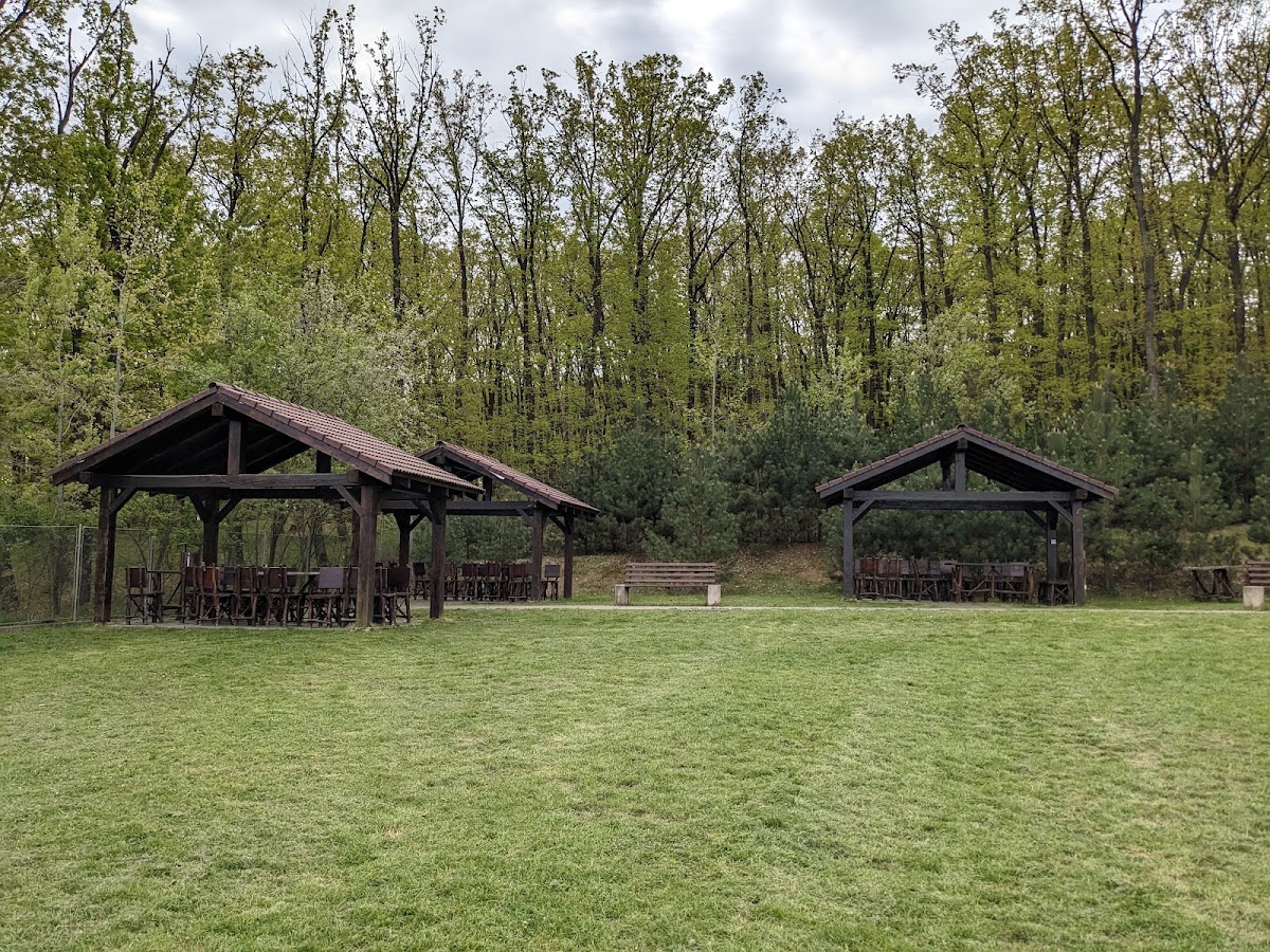 Foto von Panoramic View - Restaurant & Terasă Alba Iulia