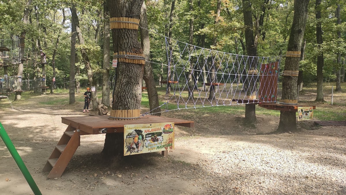 Fotografie de Freedom Adventure Park
