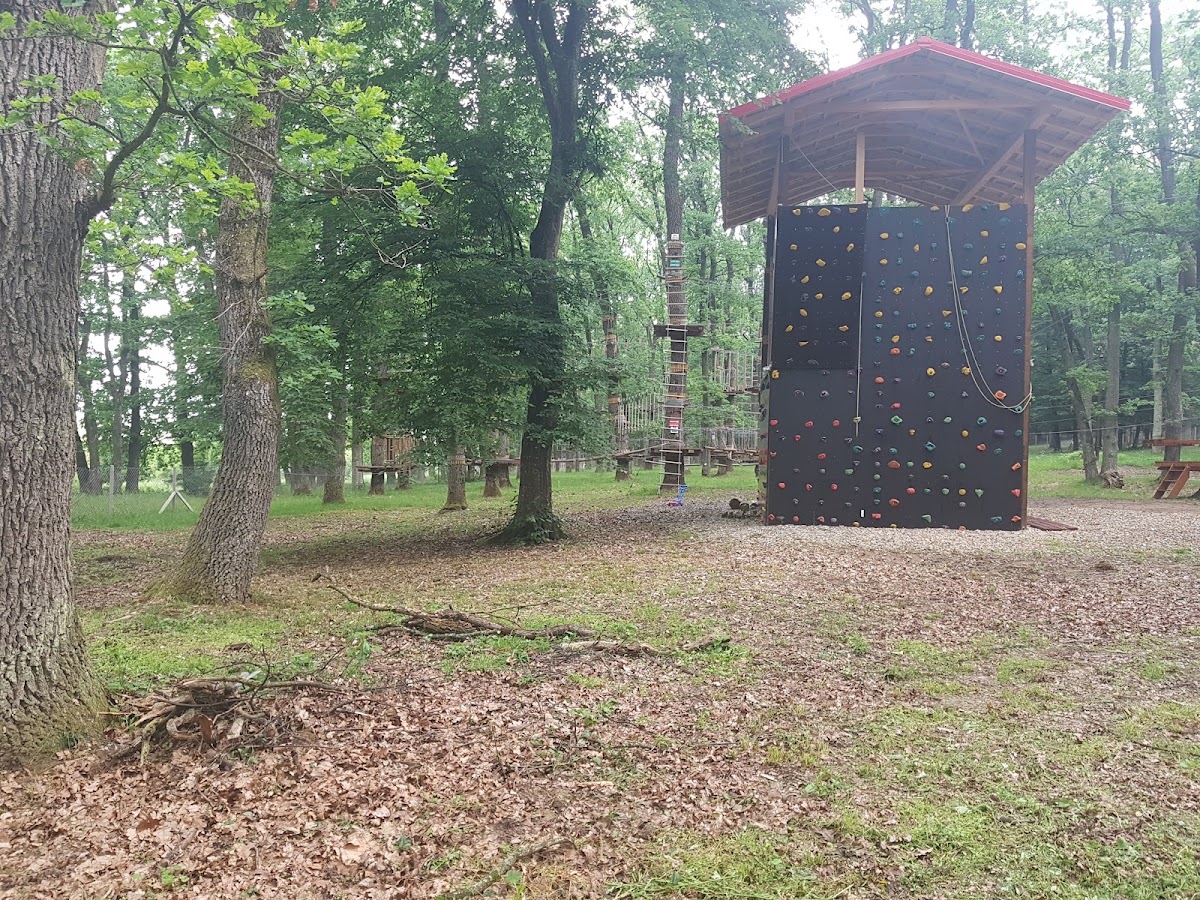 Fotografie de Freedom Adventure Park