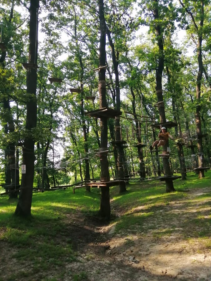 Fotografie de Freedom Adventure Park