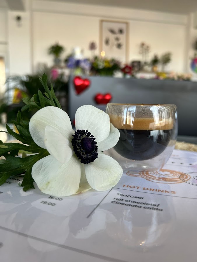 Fotografie de Miss Daisy Coffee-Flowers & More