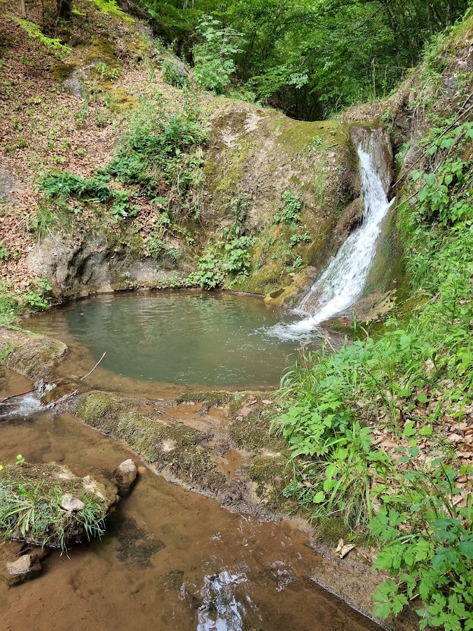Fotografie de Cascada Boiului