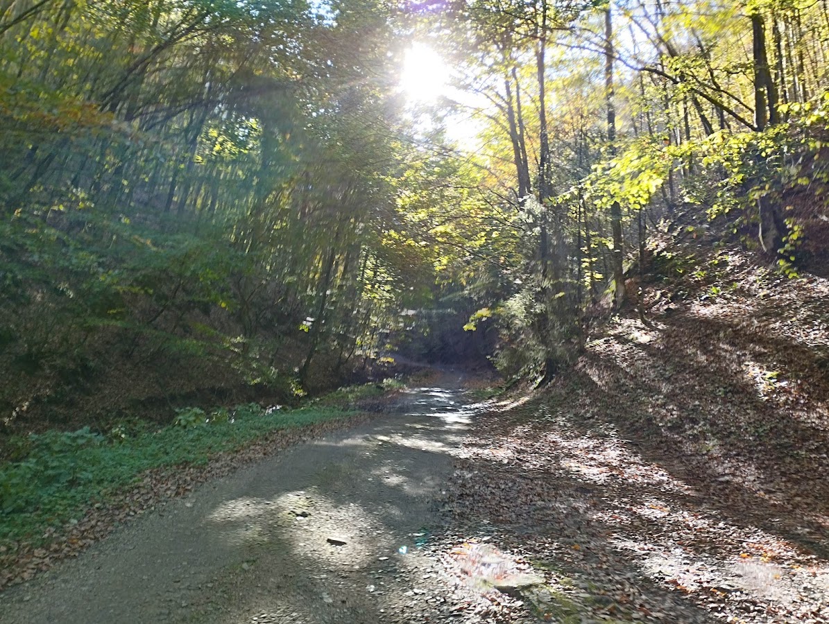 Fotografie de Cascada Boiului