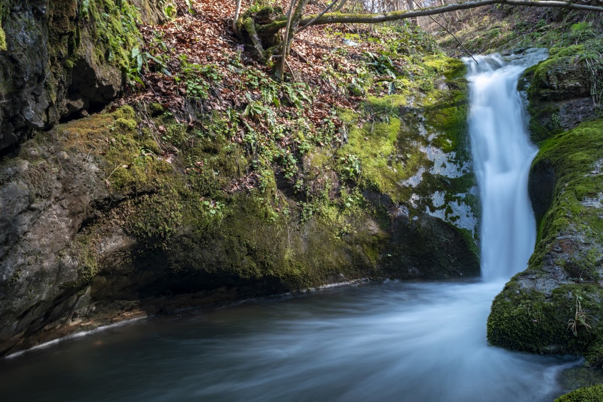 Fotografie de Cascada Boiului