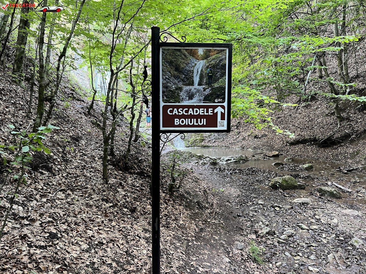 Fotografie de Cascada Boiului