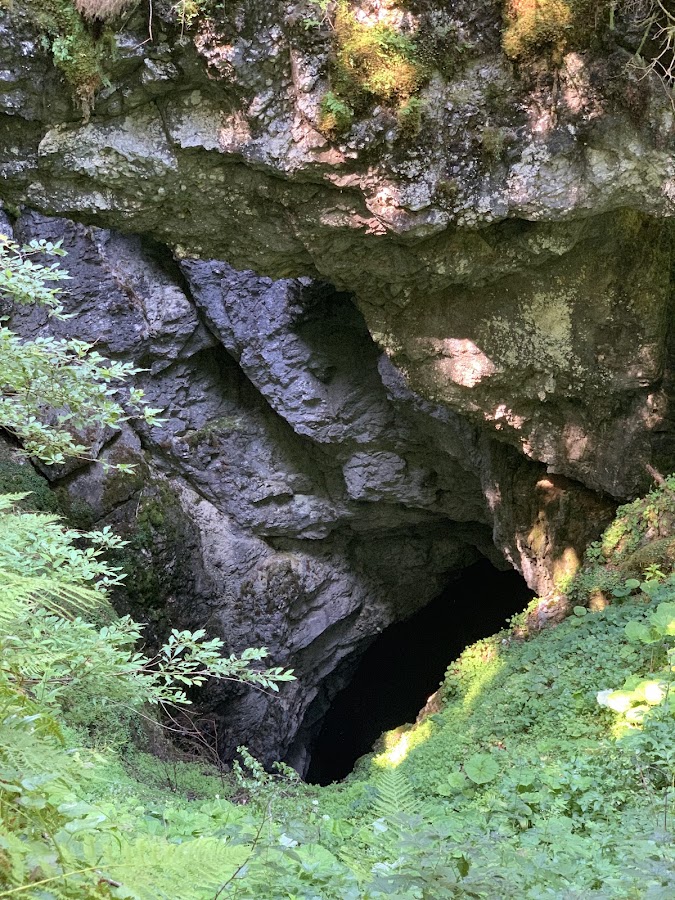 Photo de l'Avenul Gemănata