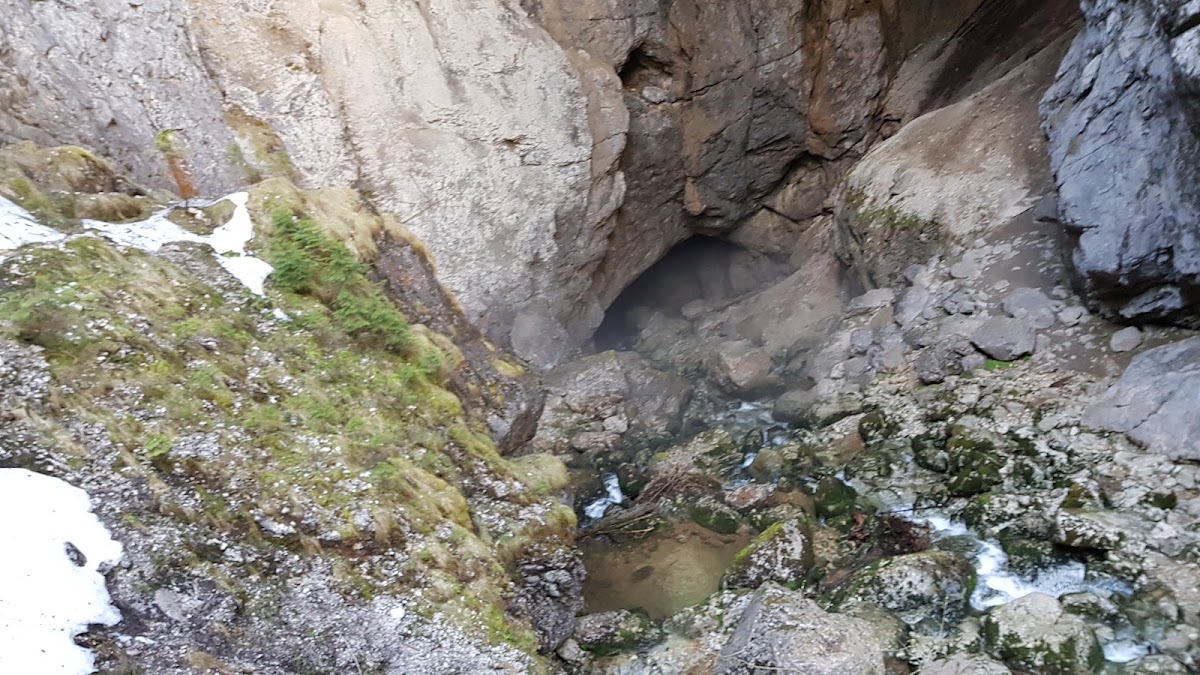 Photo de Avenul Gemănata
