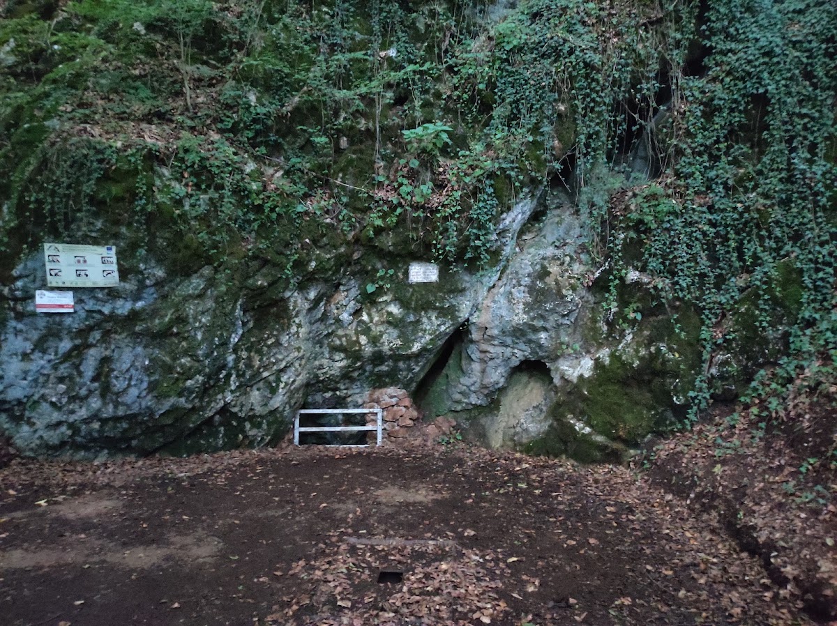 Foto di Pestera Vântului