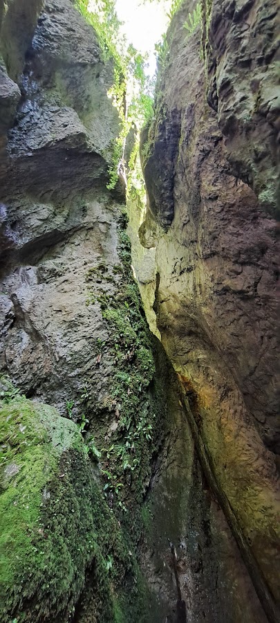 Photo of Sighiștel Canyon