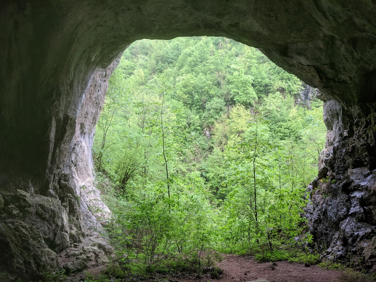 Fotografie de Sighiștel Canyon