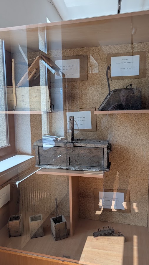 Foto di Muzeul Pescăresc/Fisheries Museum