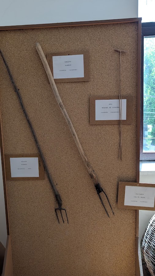 Foto di Muzeul Pescăresc/Fisheries Museum