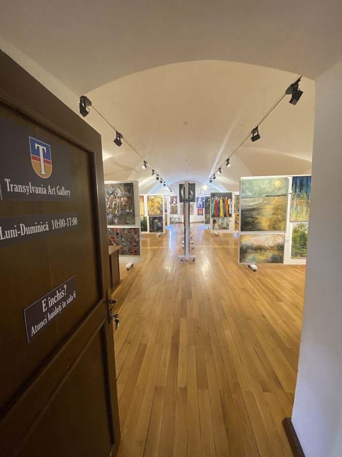 Photo of Transylvania Art Gallery