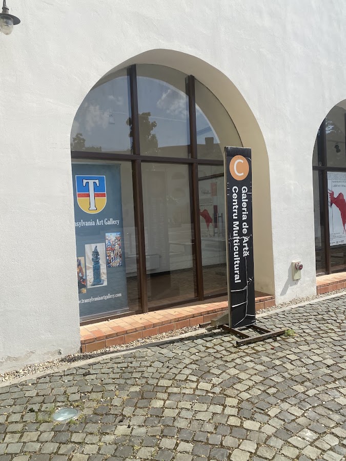 Photo of Transylvania Art Gallery