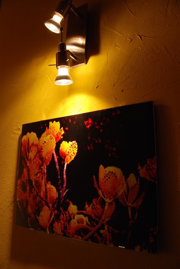 Foto di FLUX art & antiques gallery