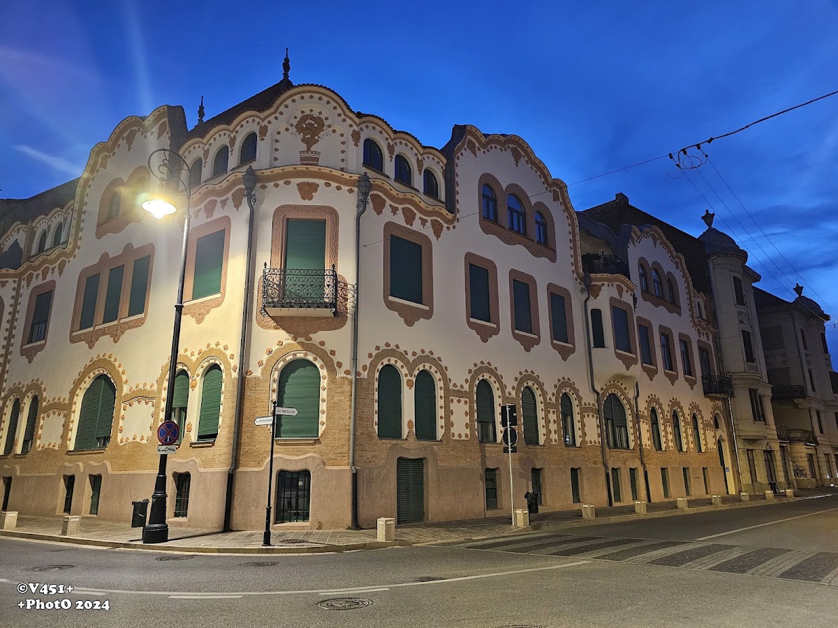 Foto del Centro di Cultura della Contea di Bihor