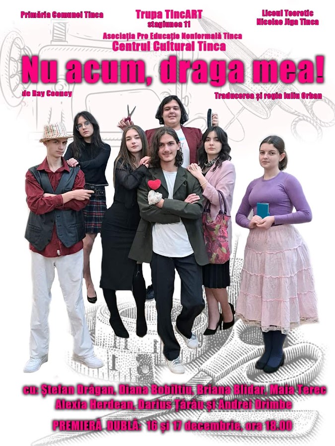 Photo of Centrul CULTURAL Tinca