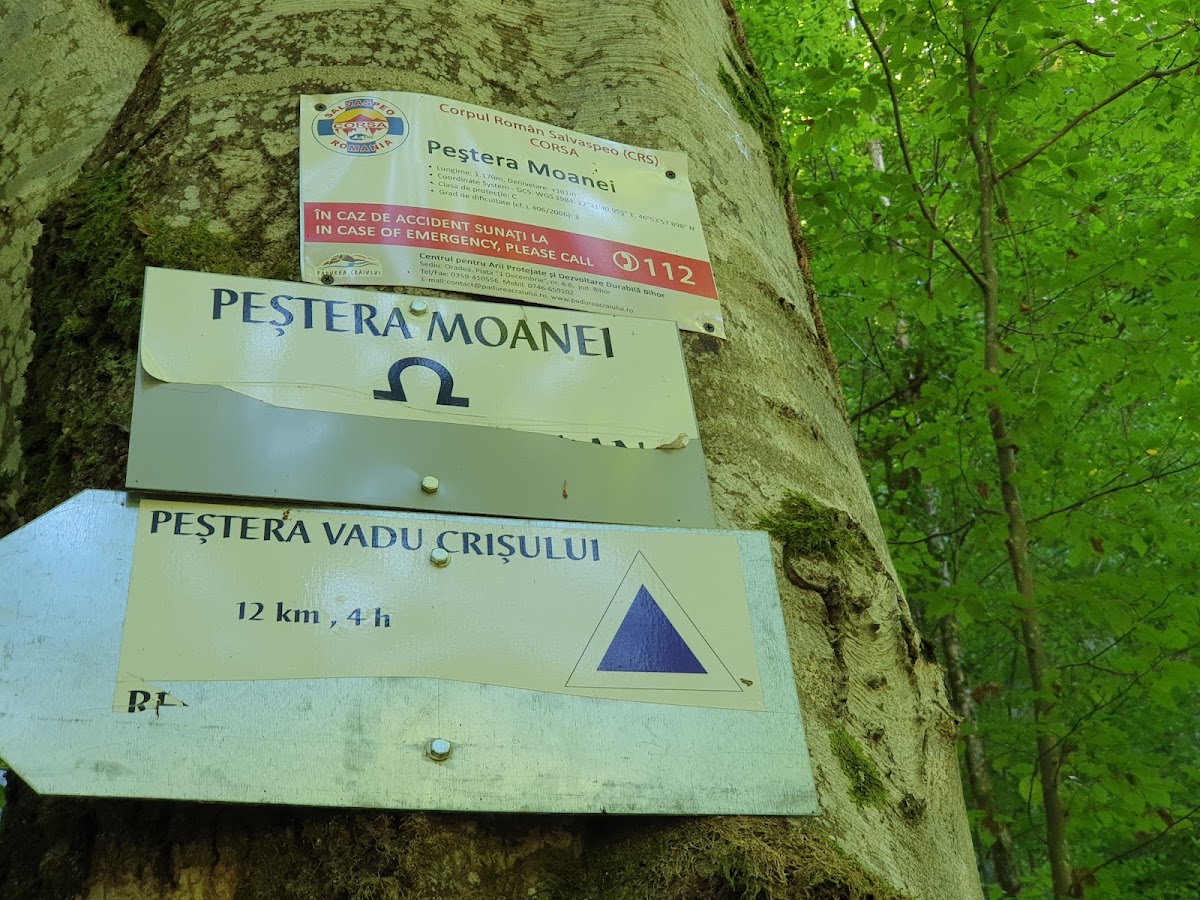 Photo de Peștera Moanei