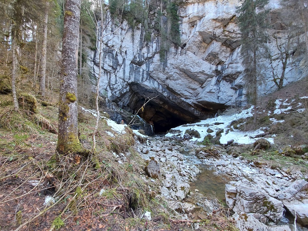 Photo of Peștera Coiba Mare