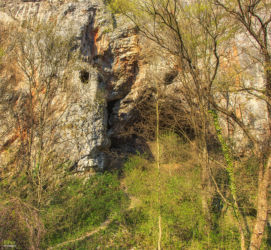 Foto von Peştera Casa Zmeului - Turnul de la Vama Sării