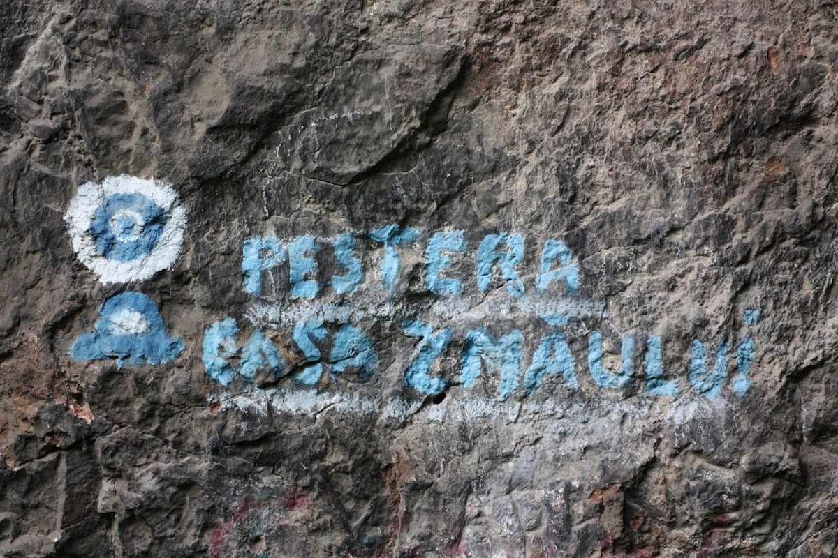 Foto von Peştera Casa Zmeului - Turnul de la Vama Sării